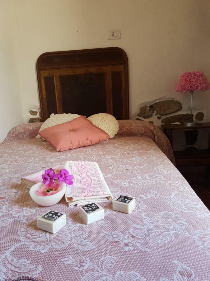 Stazzu Juanni Villa Loiri Porto San Paolo Ngoại thất bức ảnh